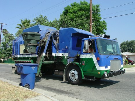 Professional clearing garden debris