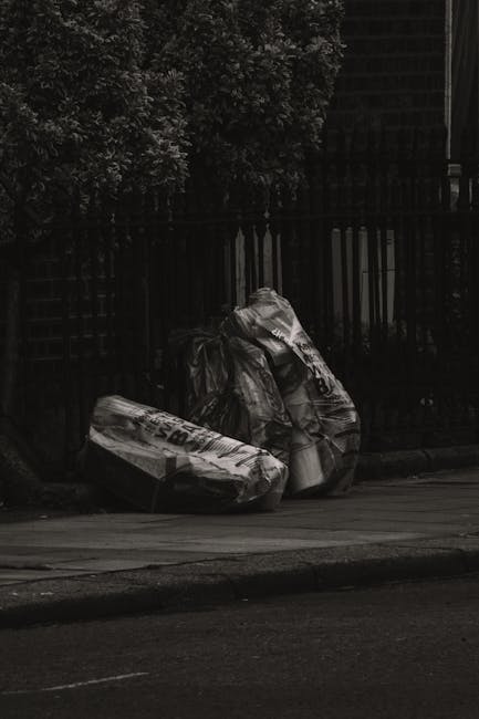 A large pile of mixed household rubbish and discarded items is scattered across a patch of dried grass and twigs, with various materials including cardboard boxes, plastic containers, and office suppl