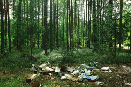 Environmental benefits of clearing garden debris